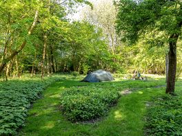A cool and shaded spot