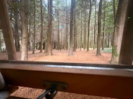 View out the back of the hut