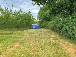 Tent in the orchard.