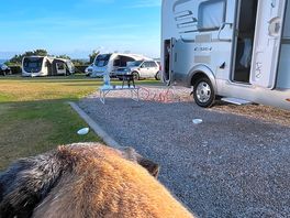 Admiring the view