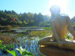 One of the many garden ornaments