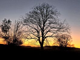 Twilight view from the pitch