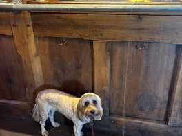 Elsa welcome in the pub!