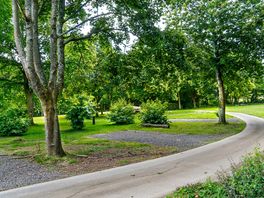 Scenic pitches surrounded by woodlands
