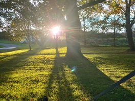 Beautiful morning view