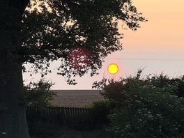 Tree/sky/sun