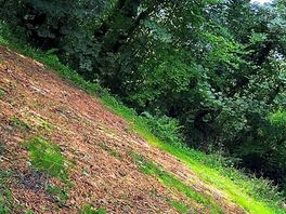 Plot 2