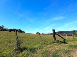 Omgeving