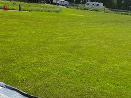 Field