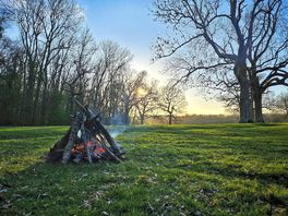 More then enough wood around for the fire