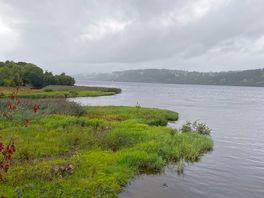 Bala lake