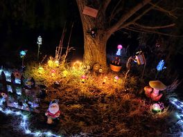 Lovely little fairy garden, great for kids. my teen loved it.