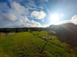 The animal field - opposite the campsite