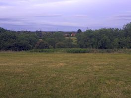Another view