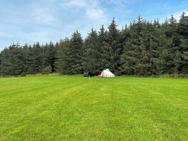Bell tent at the top of the field