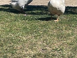 Leuk duo!