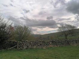 From the tent