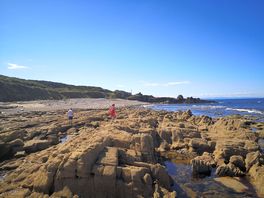 12 scapostles