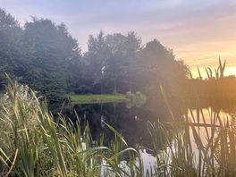 View of the lake