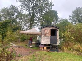 Oak hut
