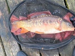 From lake