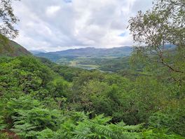 Hiking views