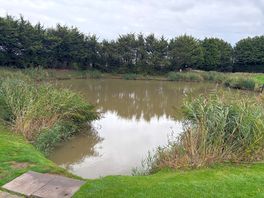 Fishing pond