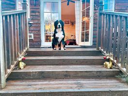 Decking area with lovely lighting and christmas decorations