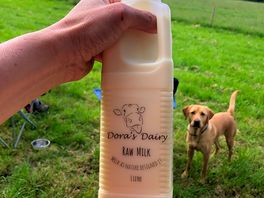 Raw milk from the site