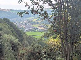 Walk from campsite