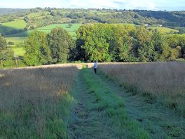 Our boys enjoyed goingup and down the hill, i did not in the rain!