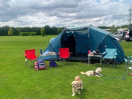 Spacious pitch