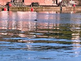 Eyemouth
