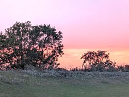 Beautiful sunset