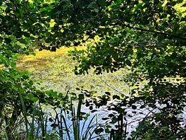 The grounds are stunning