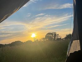 Evening sunset
