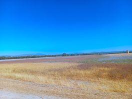 Laguna fuente de la piedra