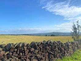 Views for days !