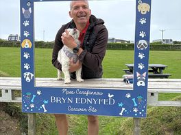 Dog agility field