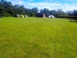 Lush green camping for all ages.