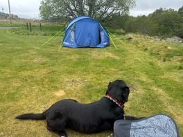 Huge pitch