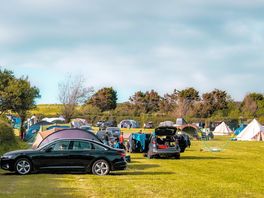 Grass pitches
