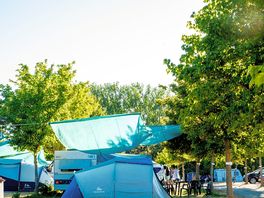 Serviced pitches between the trees