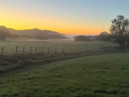 View from the top of the dog field