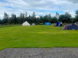 Our pitch