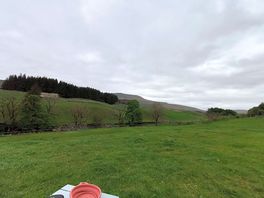 Views from my tent