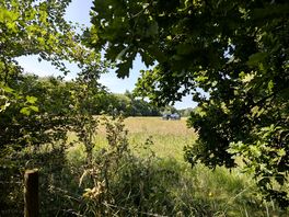 Spot the van!