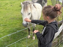 My daughter loved the fact she was able to stroke the horses