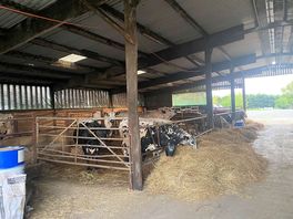 Farm on-site had cows, chickens and rabbits.