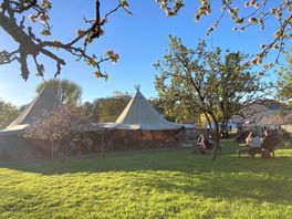 The beer garden and apple orchard in the spring sunshine